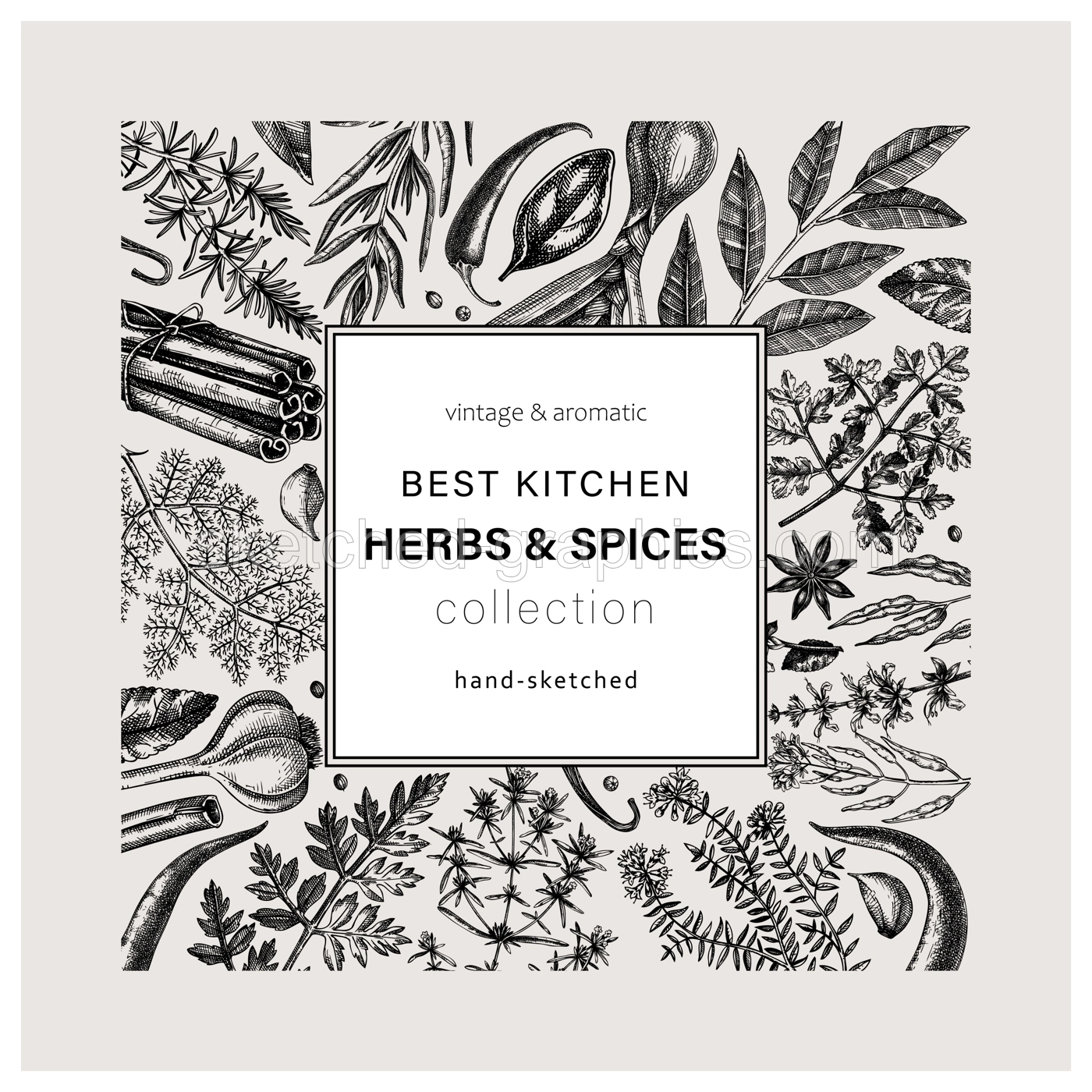 Hand-drawn herbs and spices square card. Hand-sketched food black outlines wreath. Vintage aromatic plants hand-drawing. Kitchen herbs and spice frame template in sketched style for menu or packaging Illustration